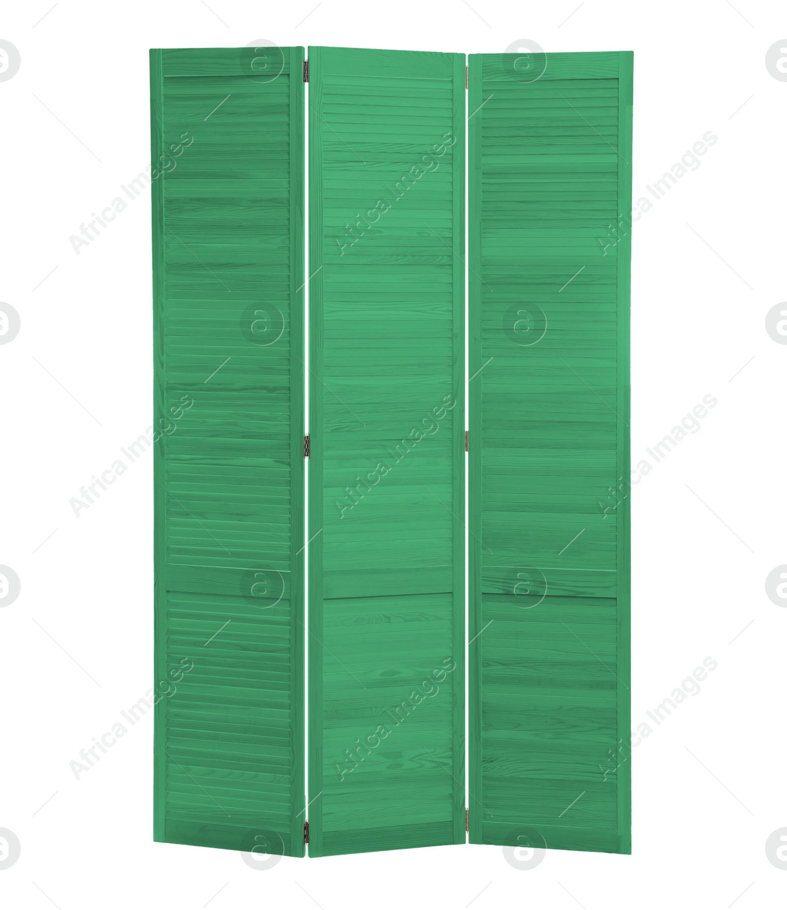 Image of Green folding screen isolated on white. Interior element