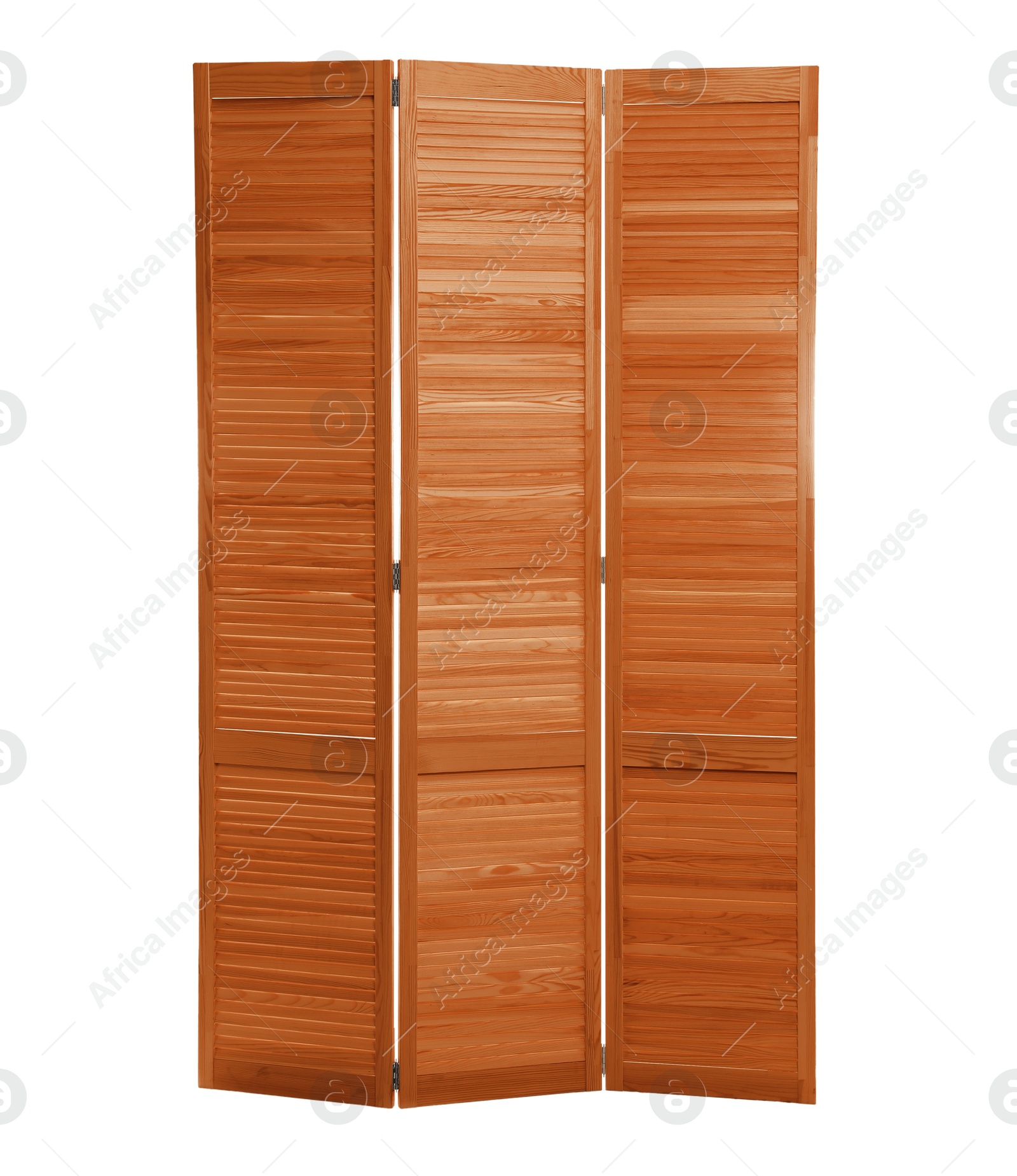 Image of Brown folding screen isolated on white. Interior element