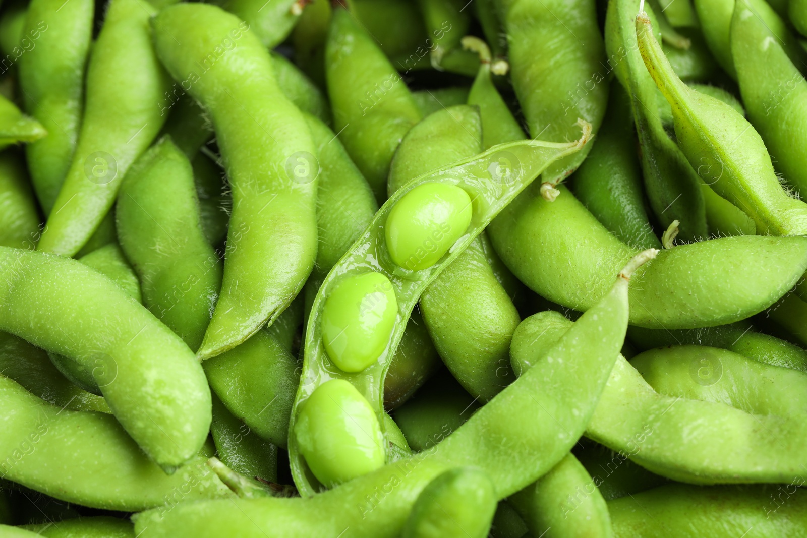 Photo of Fresh edamame pods with soybeans as background, above view