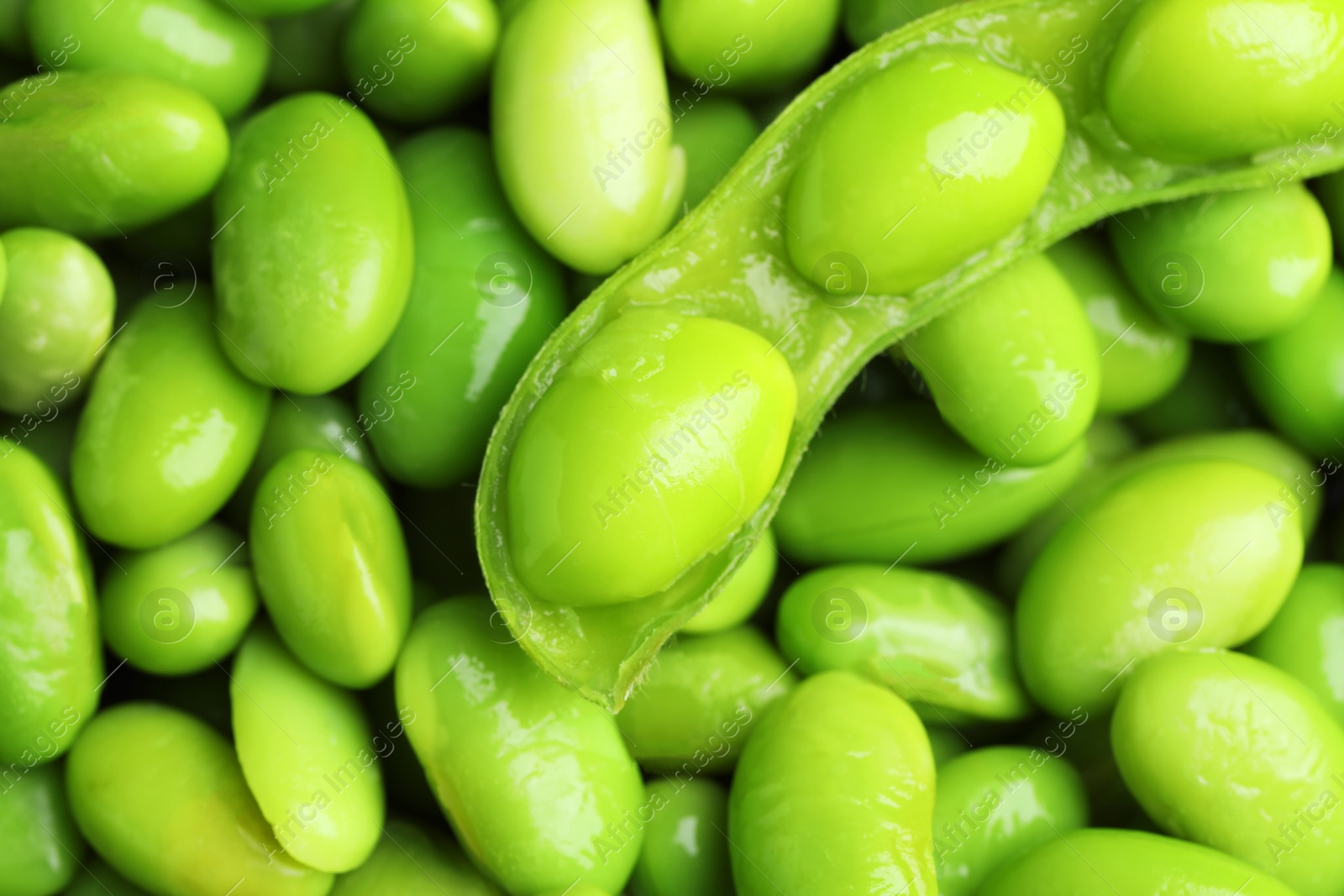 Photo of Fresh edamame pod and soybeans as background, top view