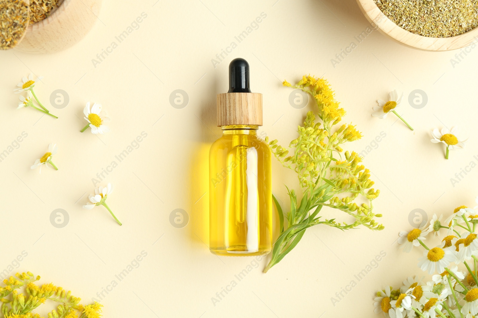 Photo of Tincture in bottle and medicinal herbs on beige background, flat lay