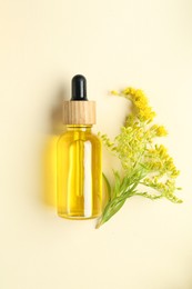 Photo of Tincture in bottle and goldenrod flowers on beige background, top view