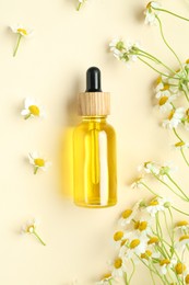 Photo of Tincture in bottle and chamomile flowers on beige background, flat lay