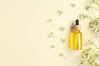 Photo of Tincture in bottle and chamomile flowers on beige background, flat lay. Space for text