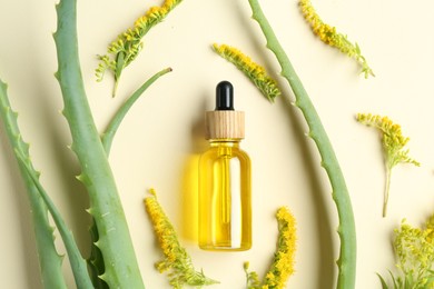 Photo of Tincture in bottle, goldenrod flowers and aloe vera leaves on beige background, flat lay