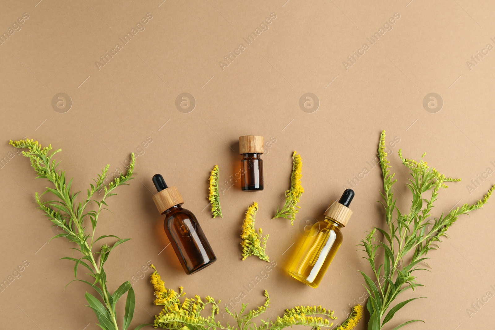 Photo of Tinctures in bottles and goldenrod flowers on pale brown background, flat lay