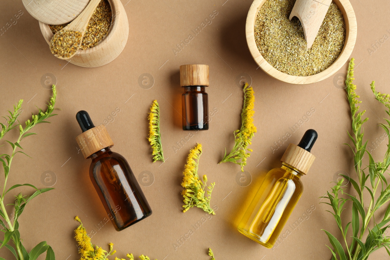 Photo of Tinctures in bottles and medicinal herbs on pale brown background, flat lay