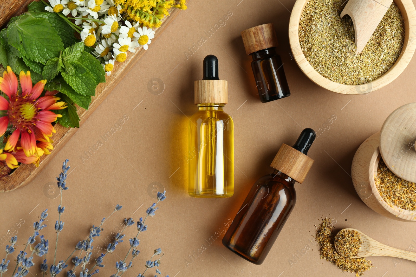 Photo of Tinctures in bottles and medicinal herbs on pale brown background, flat lay