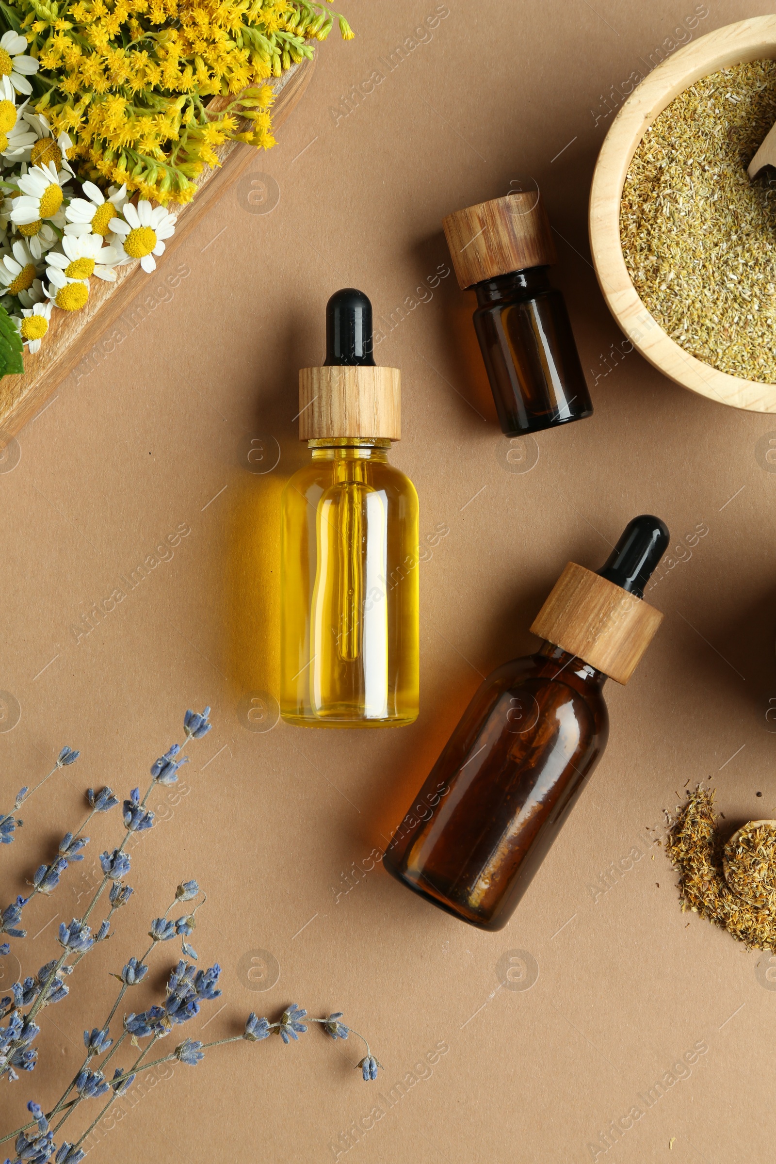 Photo of Tinctures in bottles and medicinal herbs on pale brown background, flat lay