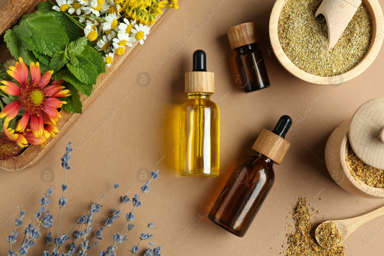 Photo of Tinctures in bottles and medicinal herbs on pale brown background, flat lay