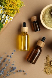 Photo of Tinctures in bottles and medicinal herbs on pale brown background, flat lay