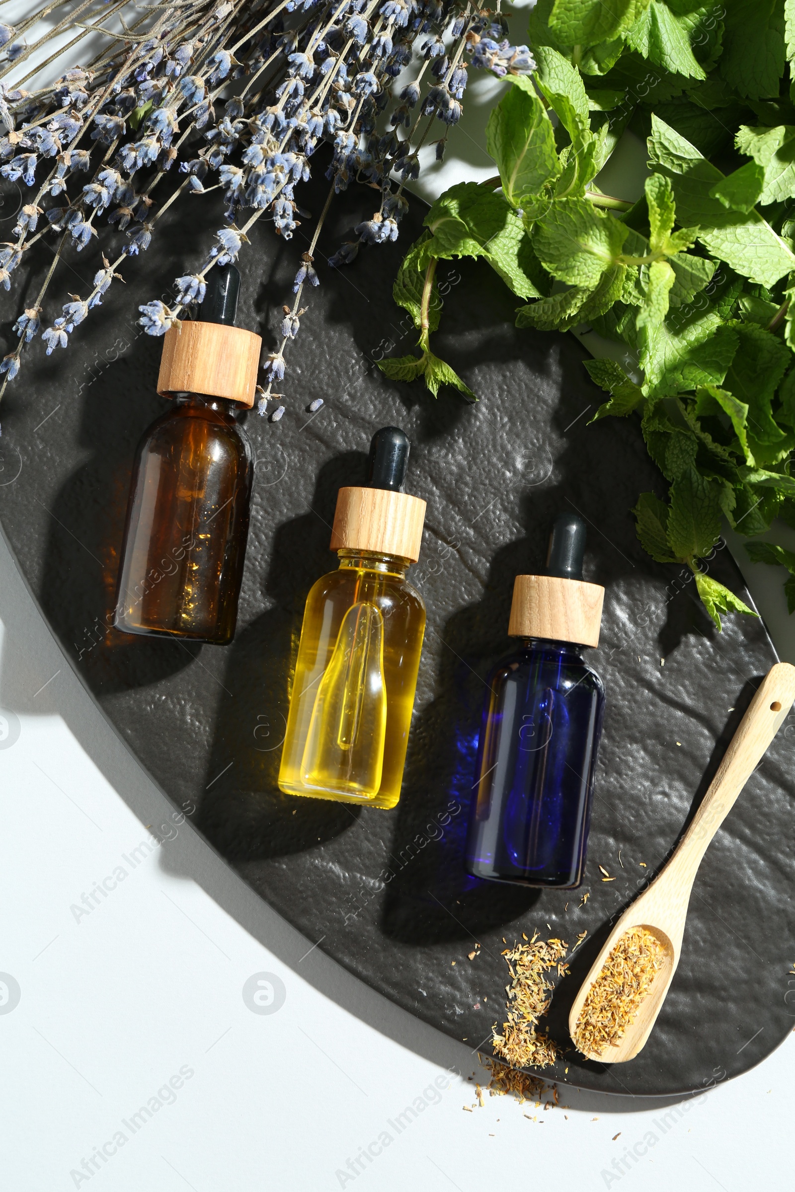 Photo of Tinctures in bottles and medicinal herbs on white table, top view