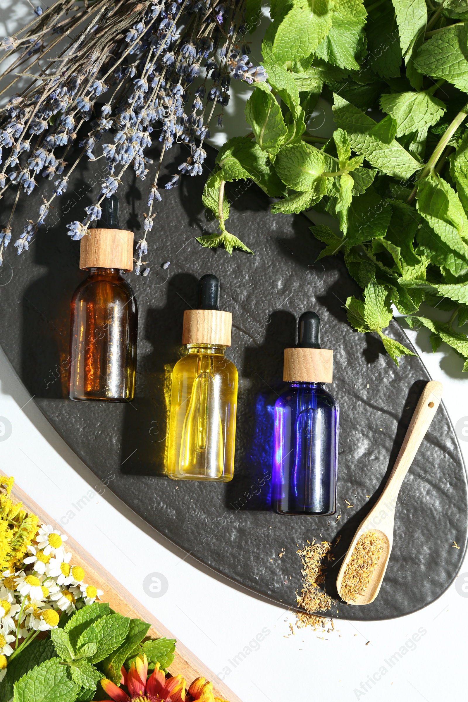 Photo of Tinctures in bottles and medicinal herbs on white table, top view