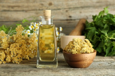 Photo of Tincture in bottle and medicinal herbs on wooden table