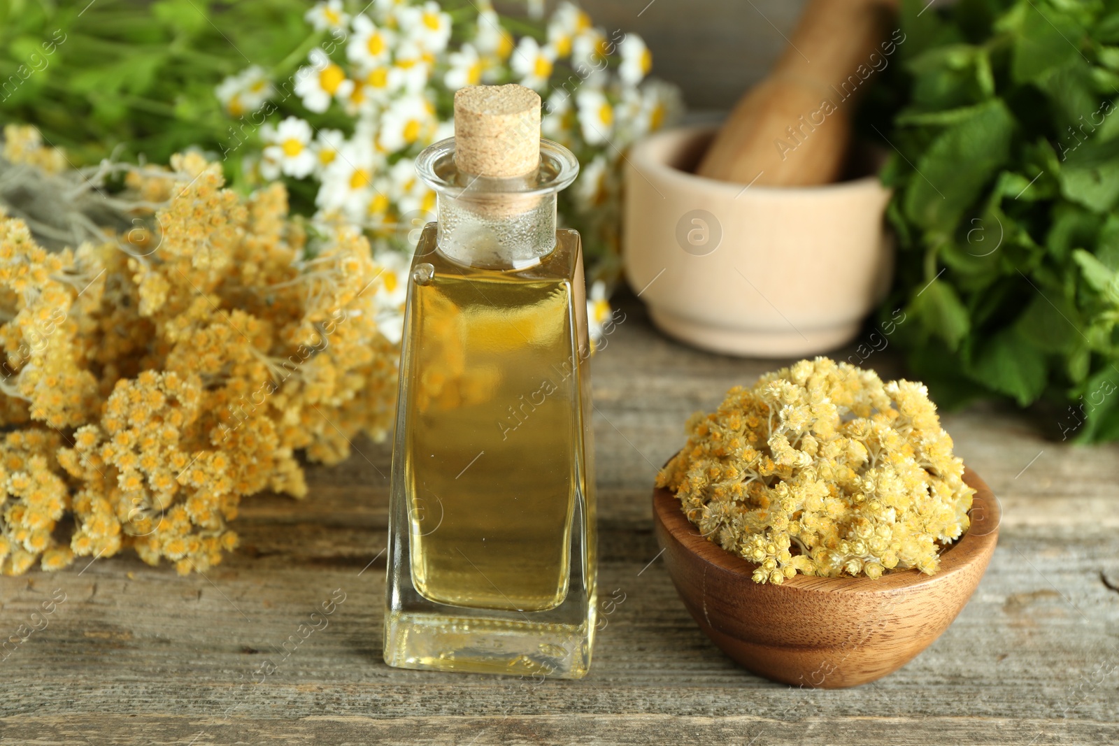 Photo of Tincture in bottle and medicinal herbs on wooden table