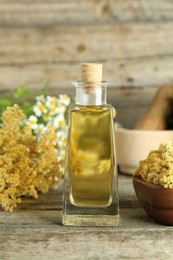 Photo of Tincture in bottle and medicinal herbs on wooden table