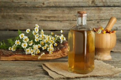 Photo of Tincture in bottle, medicinal herbs and mortar with pestle on wooden table