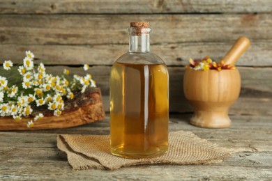 Photo of Tincture in bottle, medicinal herbs and mortar with pestle on wooden table