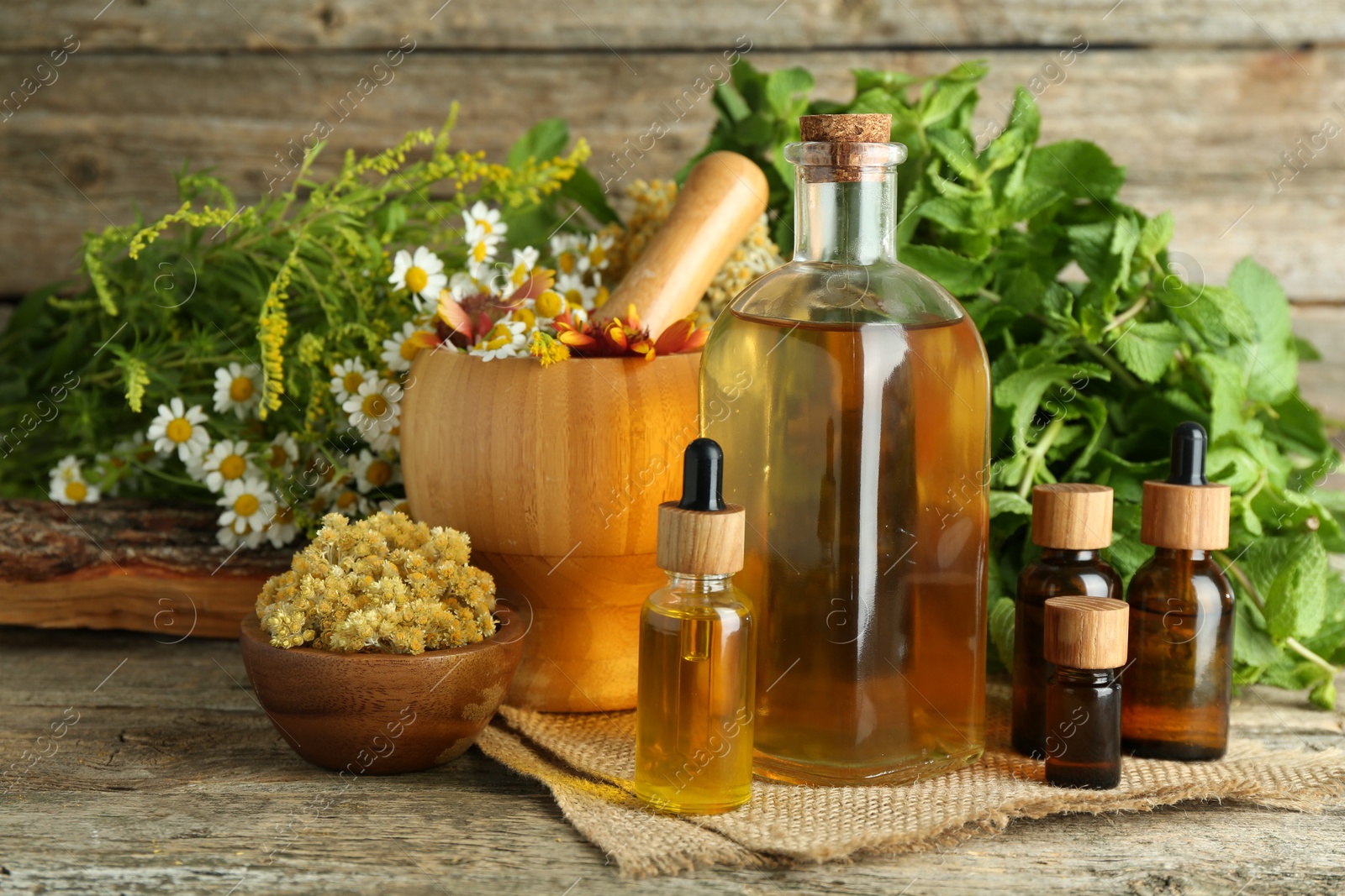 Photo of Tinctures in bottles, medicinal herbs and mortar with pestle on wooden table