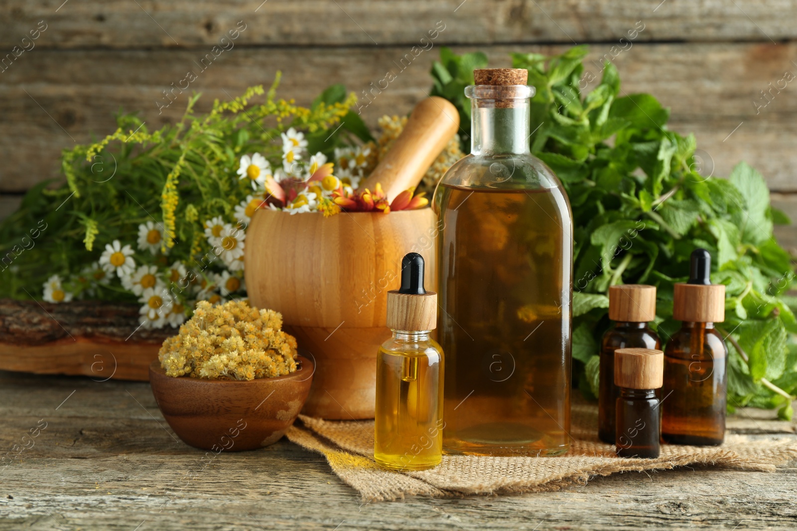 Photo of Tinctures in bottles, medicinal herbs and mortar with pestle on wooden table