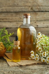 Photo of Tinctures in bottles and medicinal herbs on wooden table