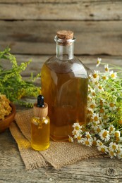 Photo of Tinctures in bottles and medicinal herbs on wooden table