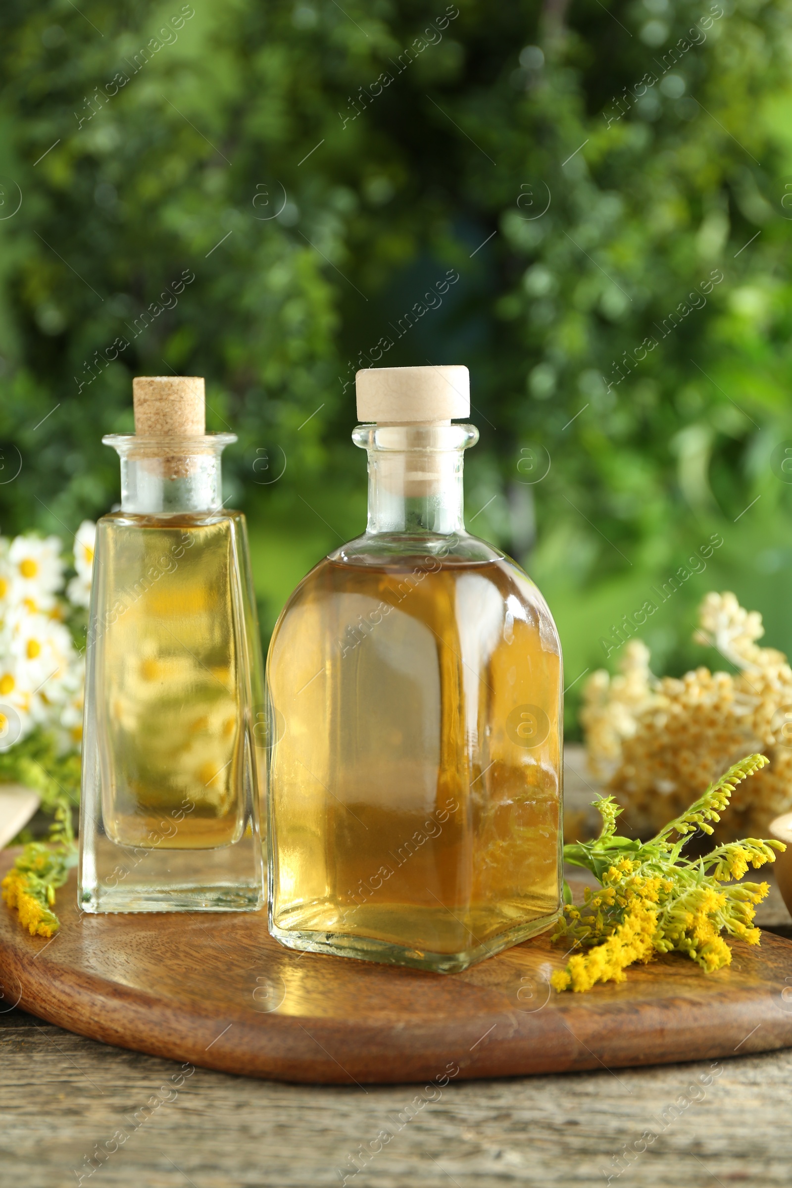 Photo of Tinctures in bottles and medicinal herbs on wooden table