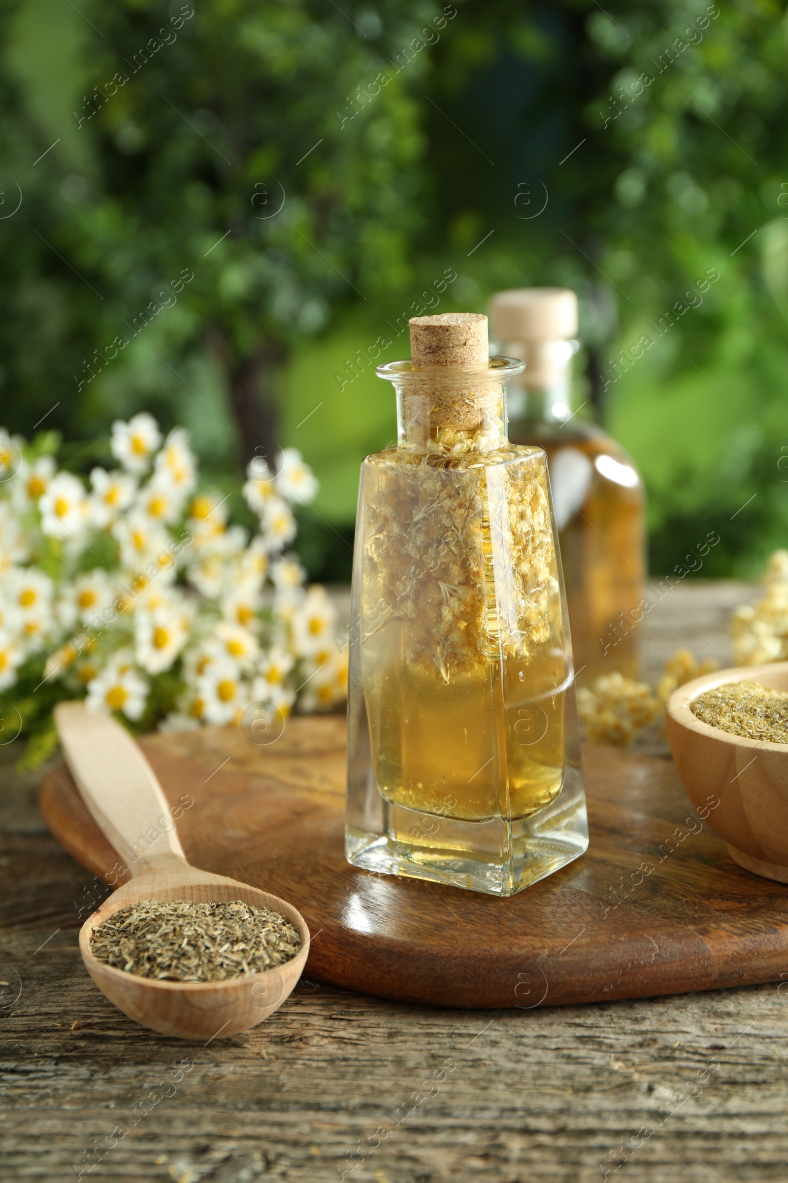 Photo of Different ingredients for tincture on wooden table