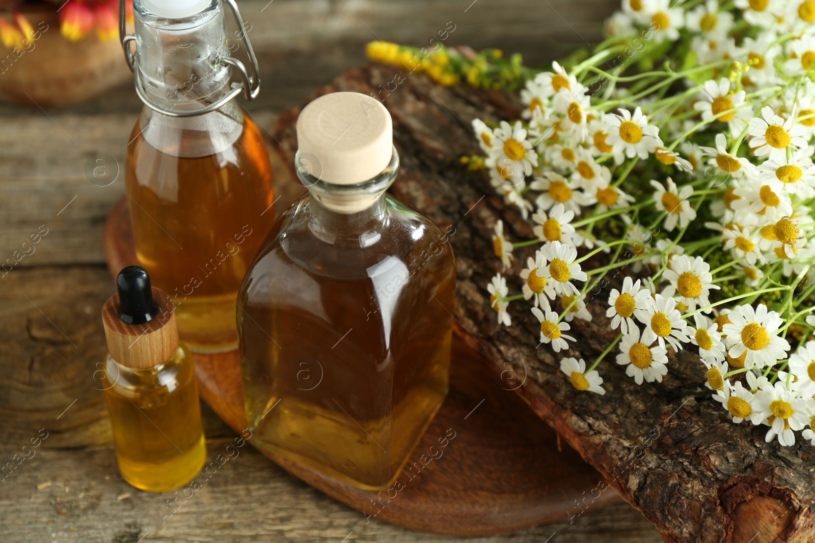 Photo of Different tinctures in bottles and chamomile flowers on wooden table, closeup