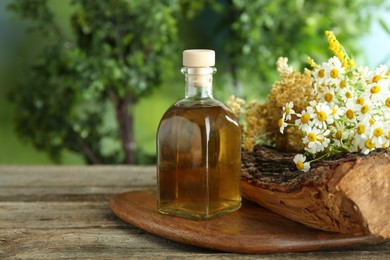 Photo of Tincture in bottle and medicinal herbs on wooden table, space for text