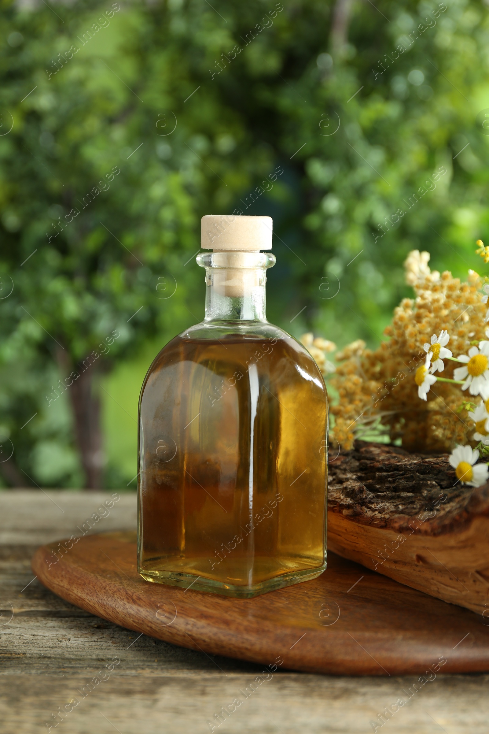 Photo of Tincture in bottle and medicinal herbs on wooden table