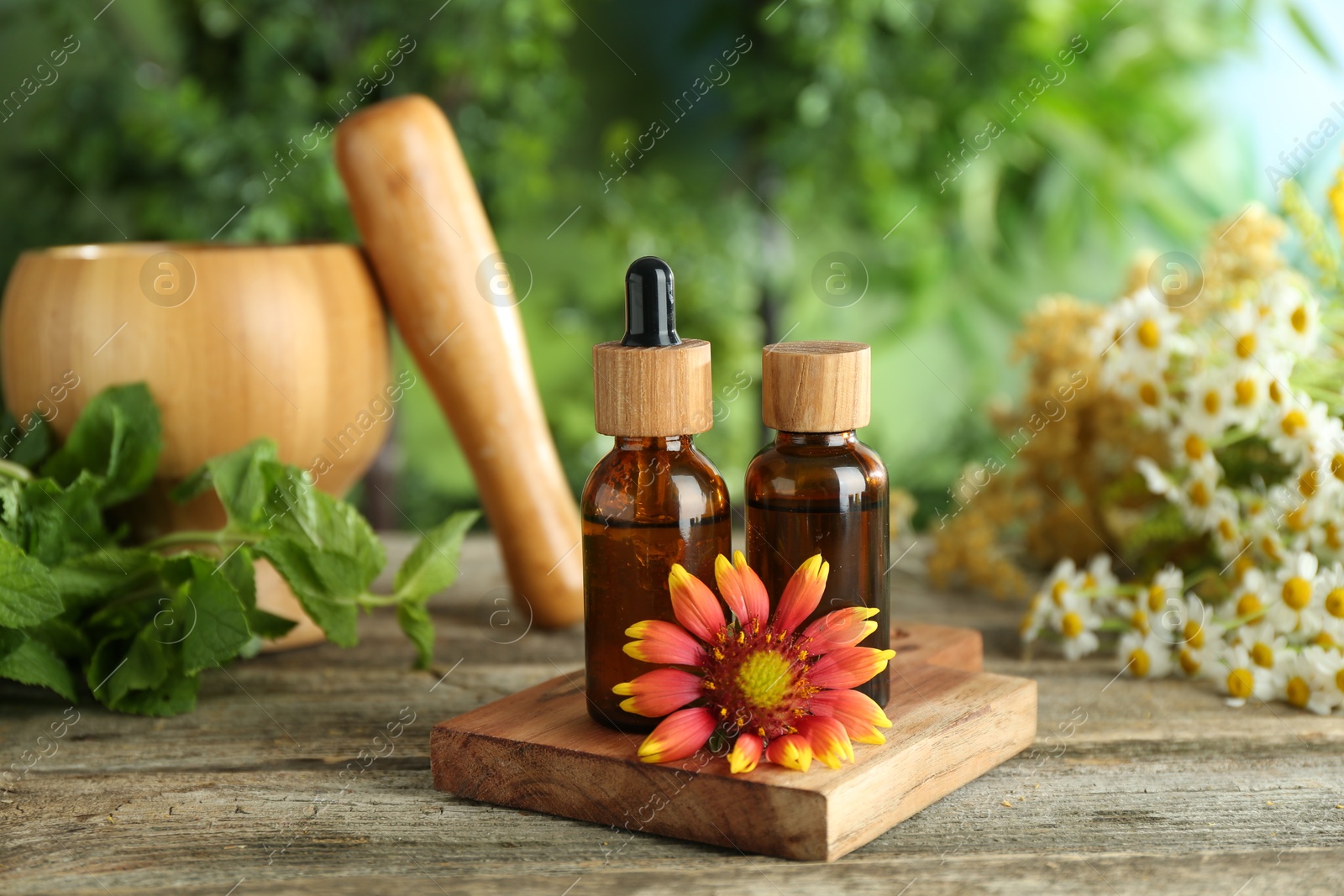 Photo of Tinctures in bottles and medicinal herbs on wooden table