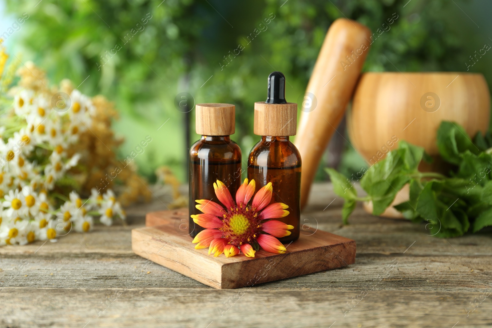 Photo of Tinctures in bottles and medicinal herbs on wooden table