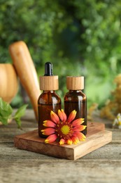 Tinctures in bottles and medicinal herbs on wooden table