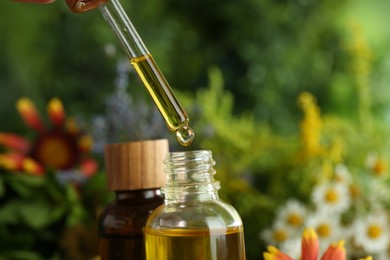 Photo of Dripping tincture from pipette into bottle on blurred background, closeup