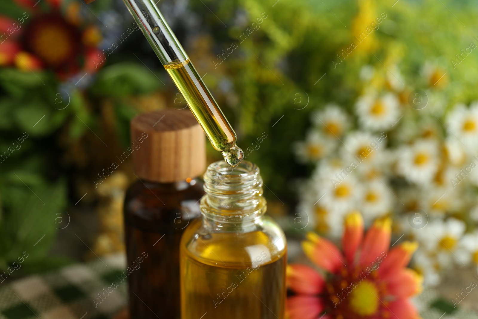 Photo of Dripping tincture from pipette into bottle at table, closeup