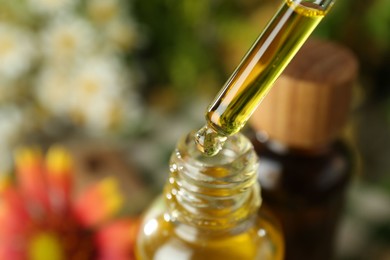 Photo of Dripping tincture from pipette into bottle on blurred background, closeup