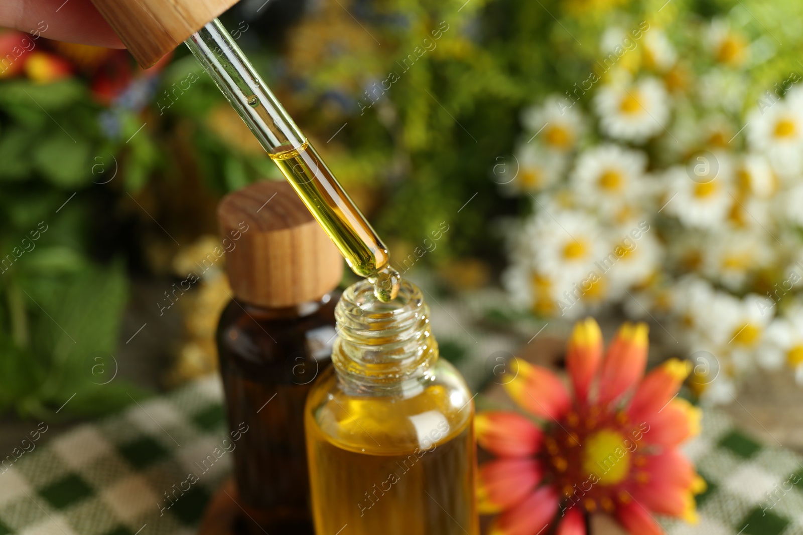 Photo of Dripping tincture from pipette into bottle at table, closeup