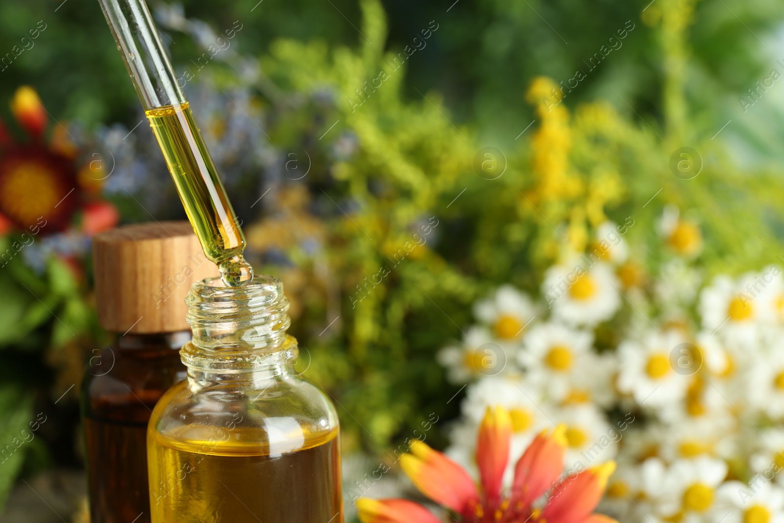 Photo of Dripping tincture from pipette into bottle on blurred background, closeup