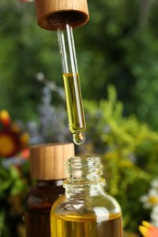 Dripping tincture from pipette into bottle on blurred background, closeup