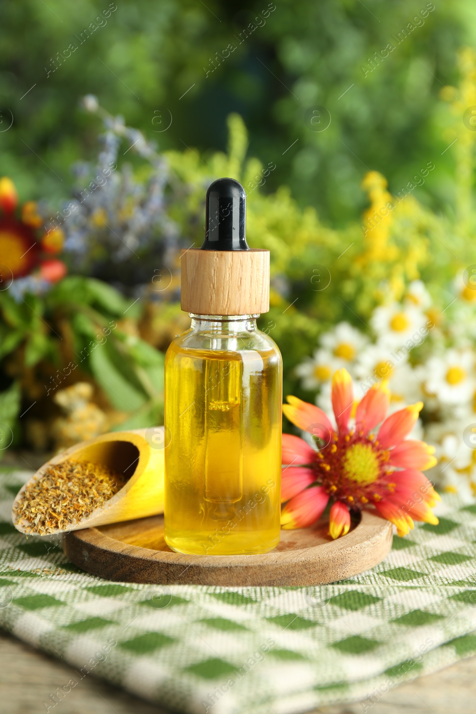 Photo of Tincture in bottle and medicinal herbs on table