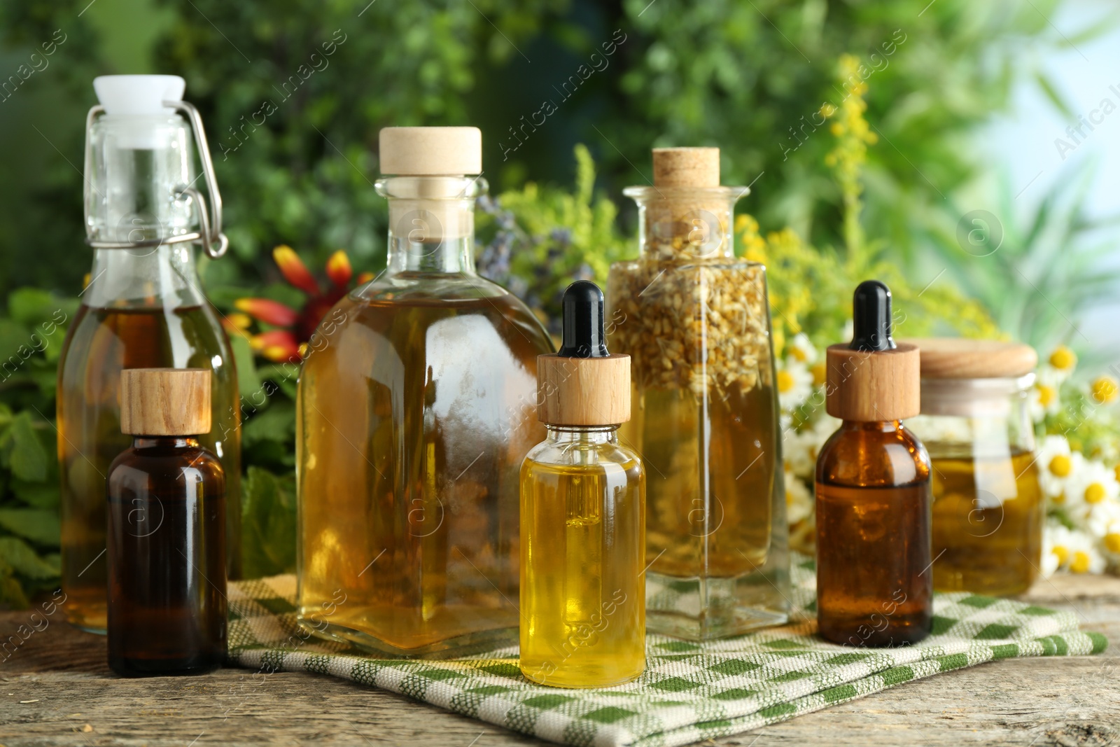 Photo of Different tinctures in bottles and medicinal herbs on wooden table