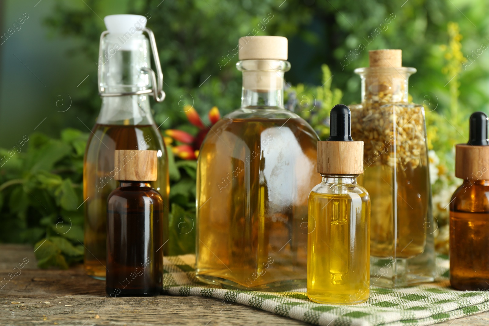 Photo of Different tinctures in bottles and medicinal herbs on wooden table