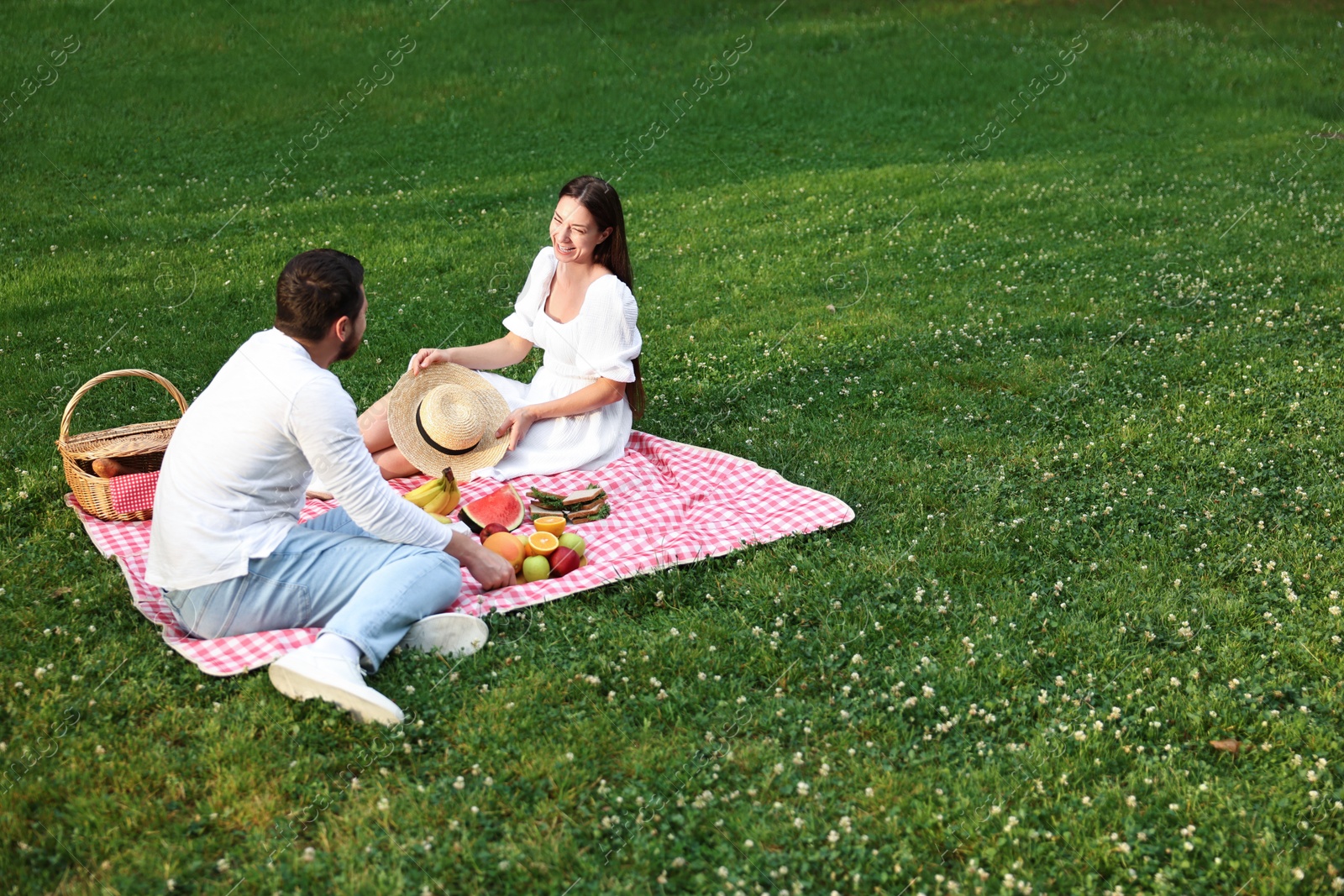 Photo of Happy couple having picnic on green grass outdoors. Space for text