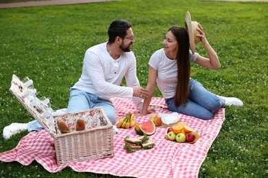 Happy couple having picnic on green grass outdoors