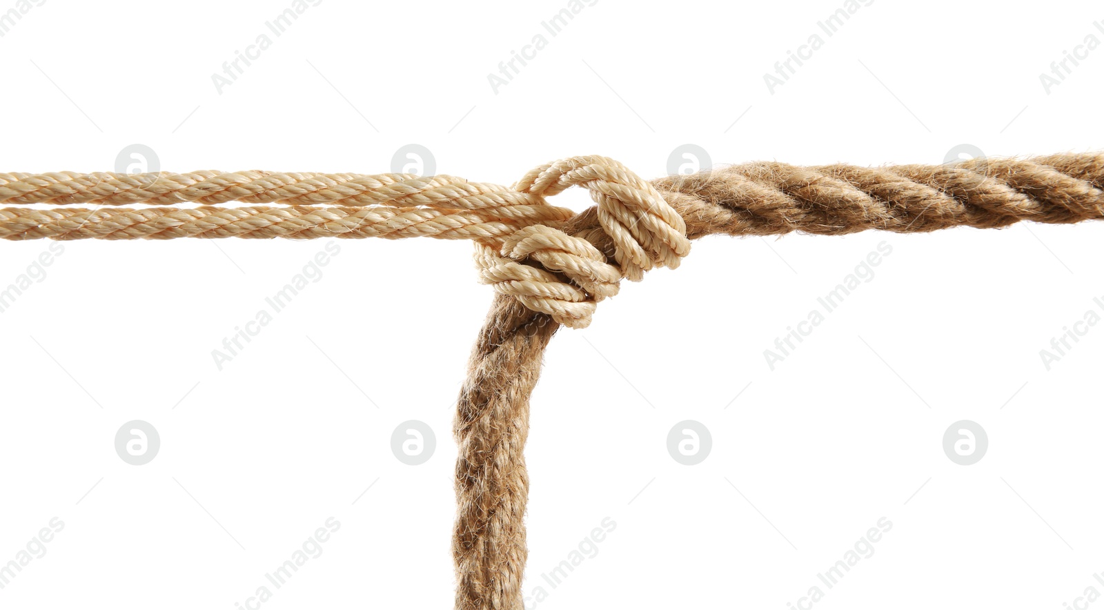 Photo of Hemp rope with knot on white background