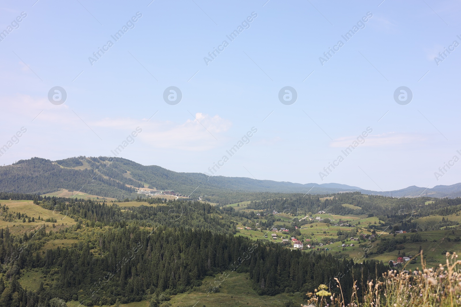 Photo of Picturesque view of forest in mountains under blue sky