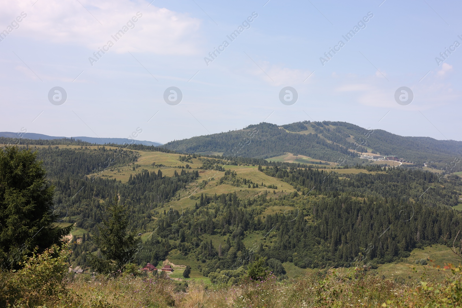 Photo of Beautiful trees and houses in mountains under blue sky