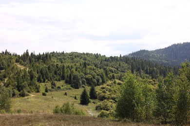 Photo of Green forest in mountains under beautiful sky