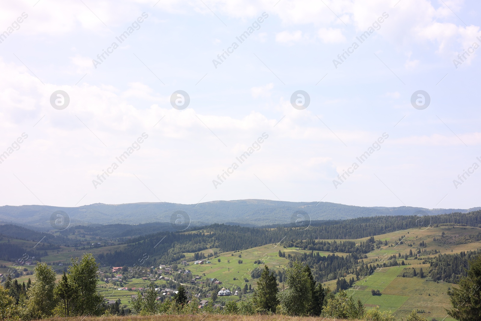 Photo of Many beautiful trees and houses in mountains